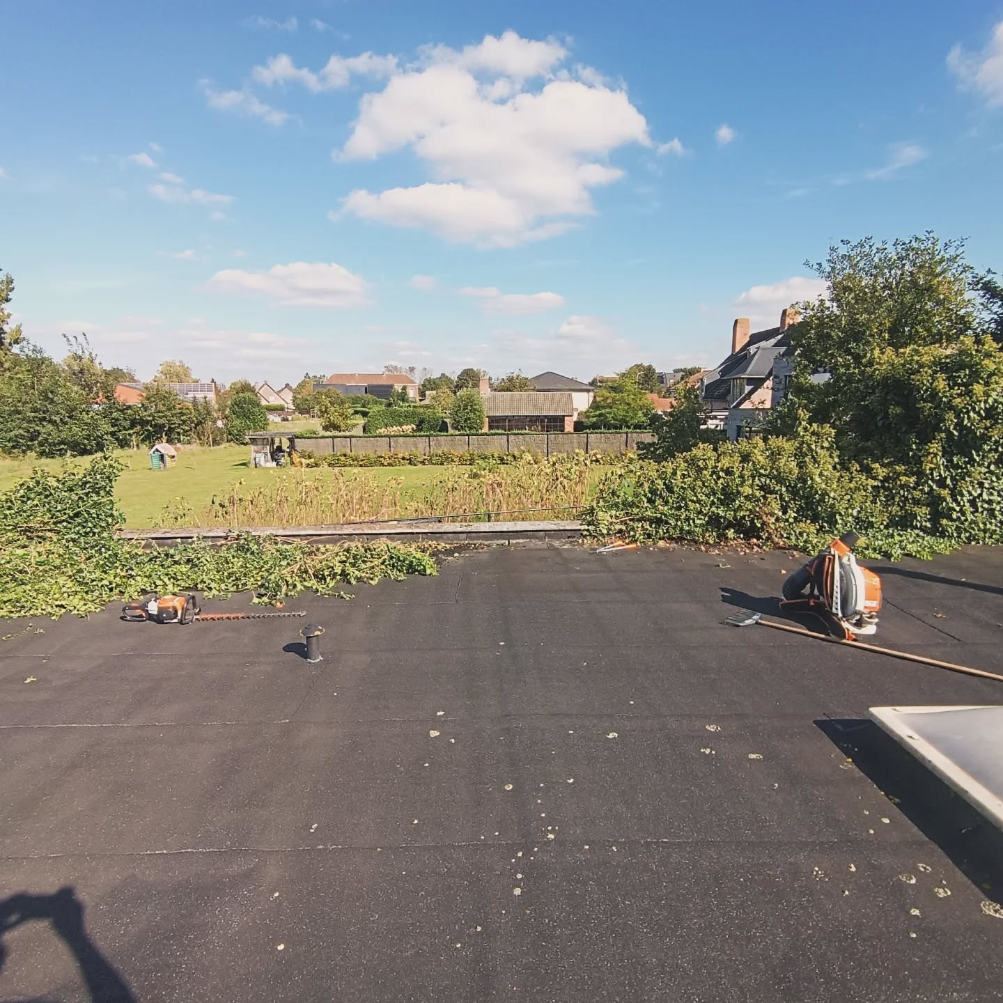 Verwijderen van klimop - Voor