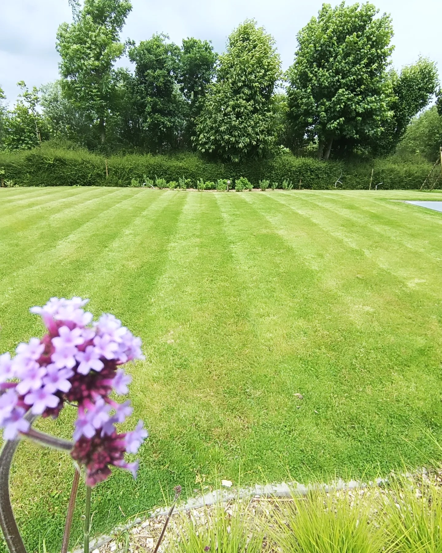 Gazononderhoud - Professioneel maaiwerk