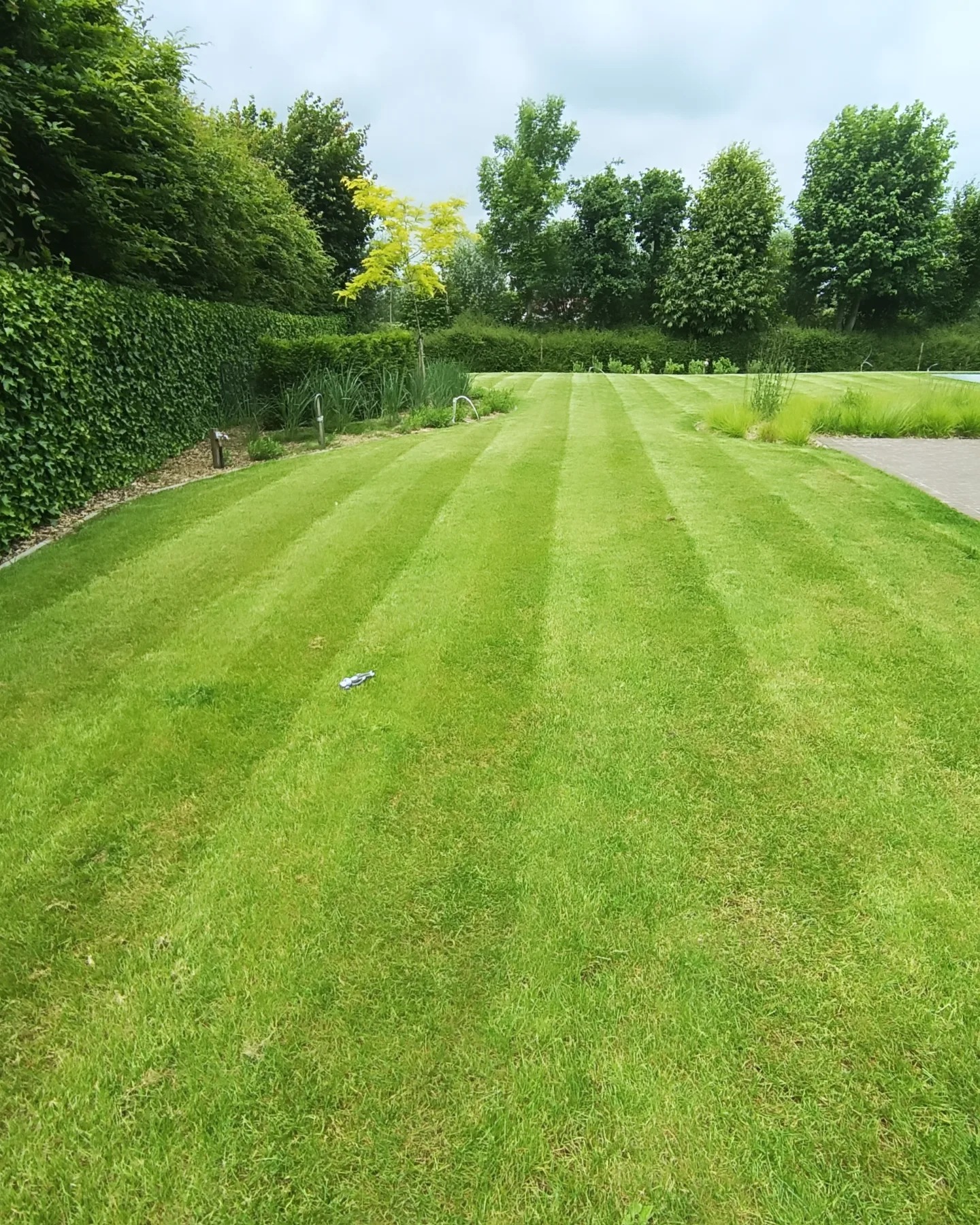 Perfecte grasbaanpatronen met strepen