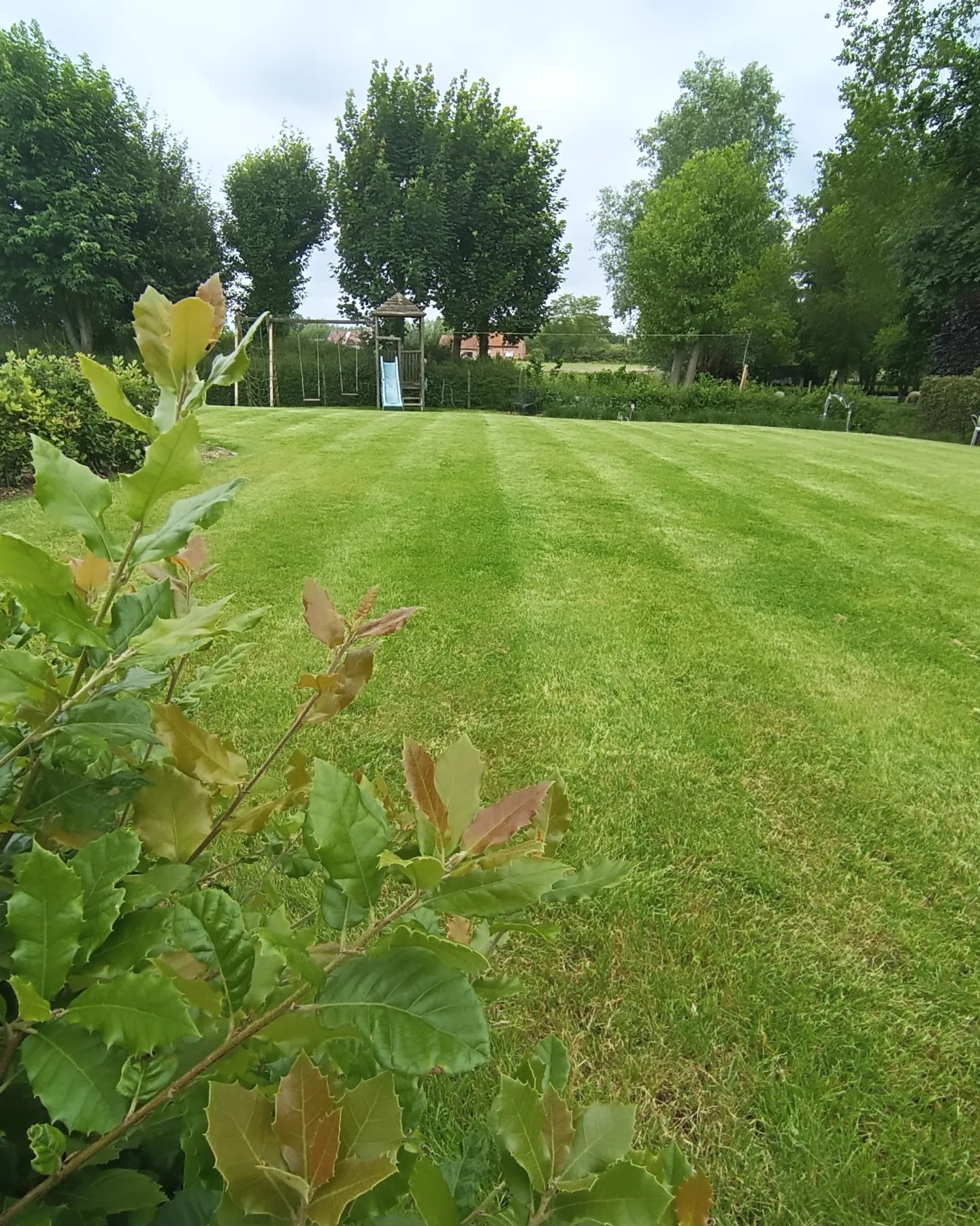 Gazon eindresultaat - Verzorgde tuin